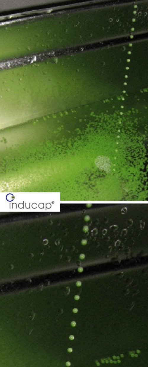 Prinzip der <b>Inducap®-Matrix</b> Technologie